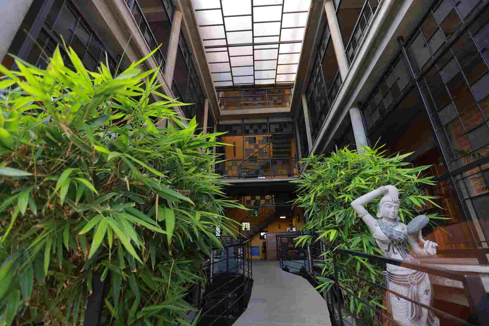Greenery and daylight in the open central courtyard